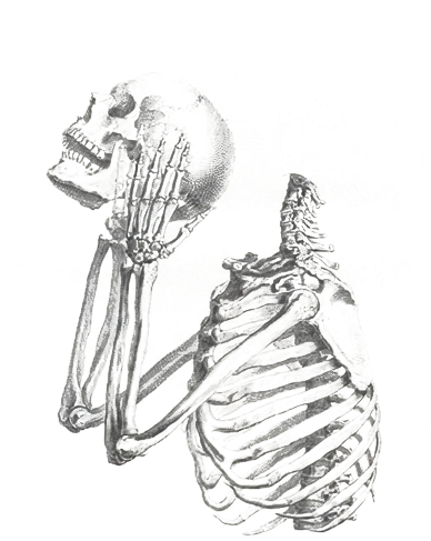 Animated Brad Electro anatomical skeleton artwork